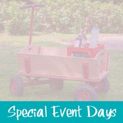 Special Event Days